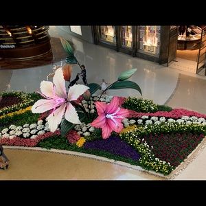 Meet your Posher, Dawn